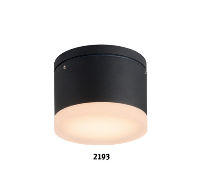 2193 LED wall light